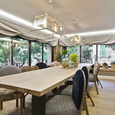 アクタ スプレンディド