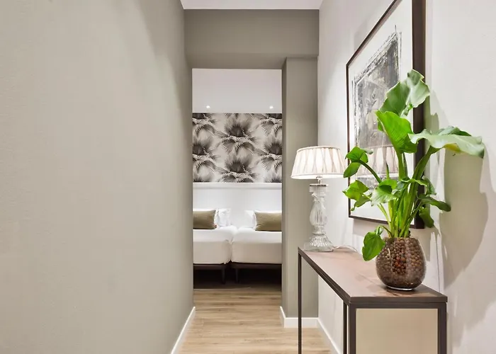 Acta Splendid 3*